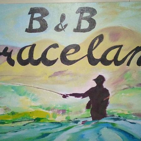Graceland B&B Athol エクステリア 写真